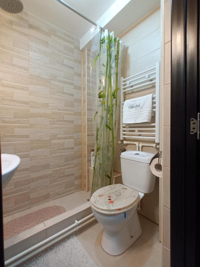 Studio Central Hunedoara Bagian luar foto